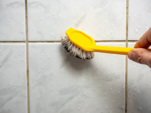 Best Professional Mold Removal  in Taylorsville, MS