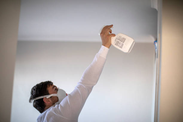 Best Water Damage Restoration  in Taylorsville, MS