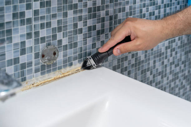 Best Mold Damage Repair  in Taylorsville, MS
