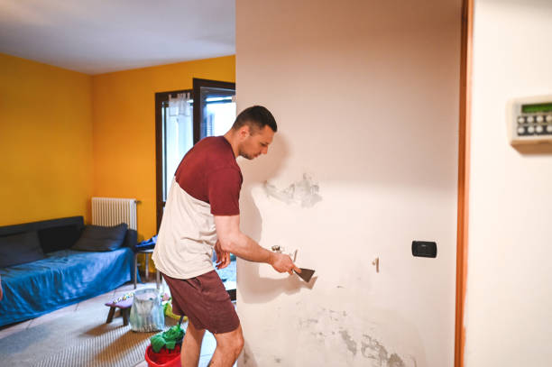 Best Mold Testing and Removal  in Taylorsville, MS